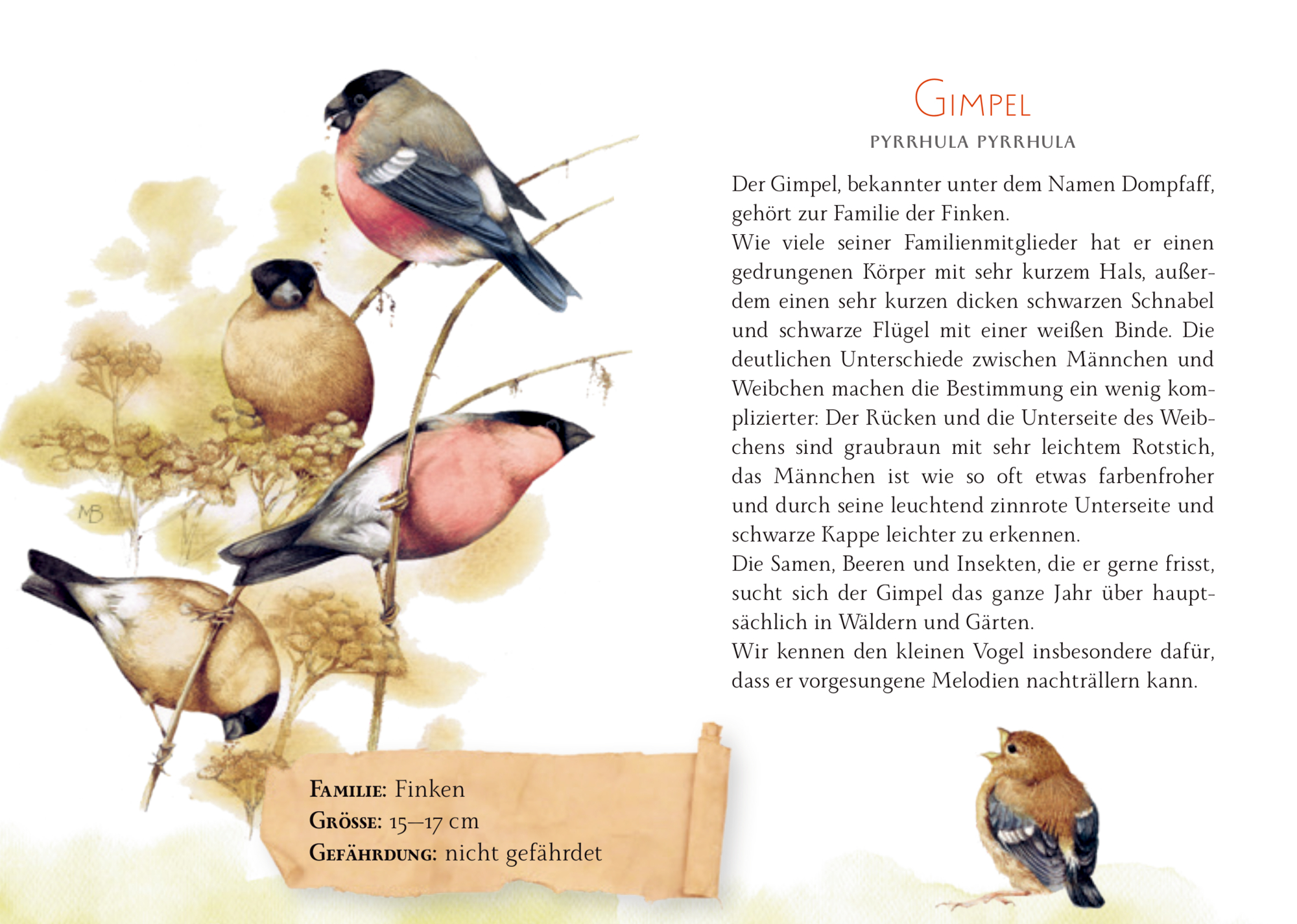 9783649646976_innenansicht_01 9783649646976_innenansicht_01.jpg