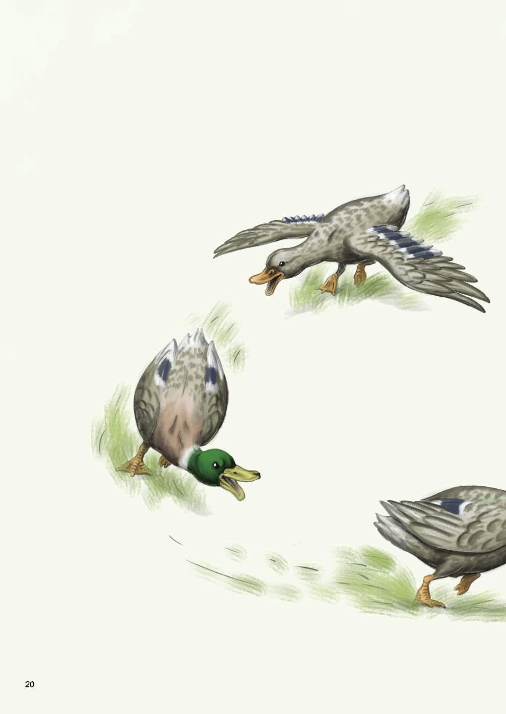 9783862561926_innenansicht_22 9783862561926_innenansicht_22.jpg