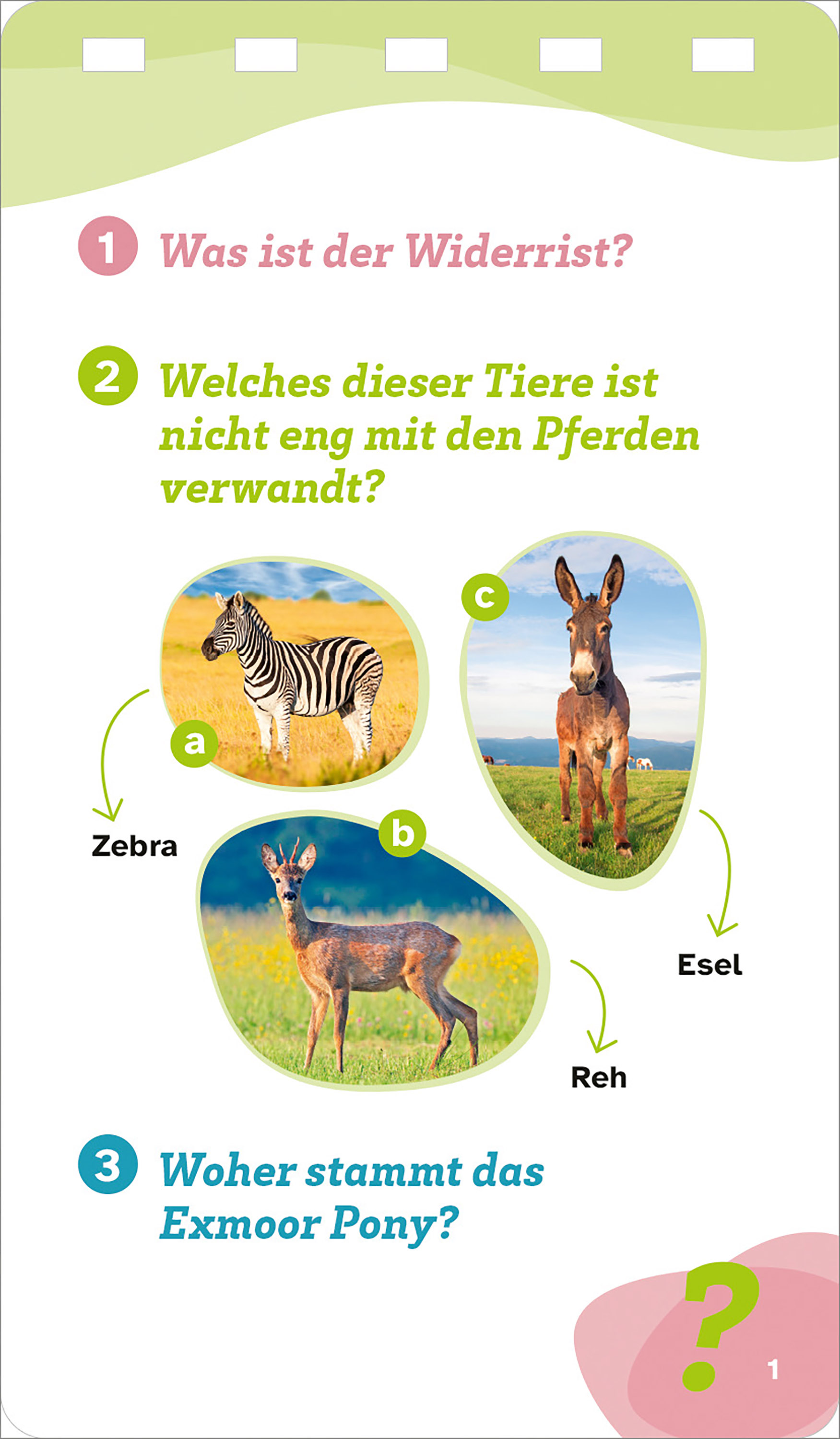 9783788677893_innenansicht_02.jpg
