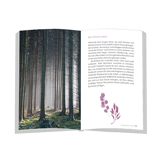 9783869177281_innenansicht_01 9783869177281_innenansicht_01.jpg