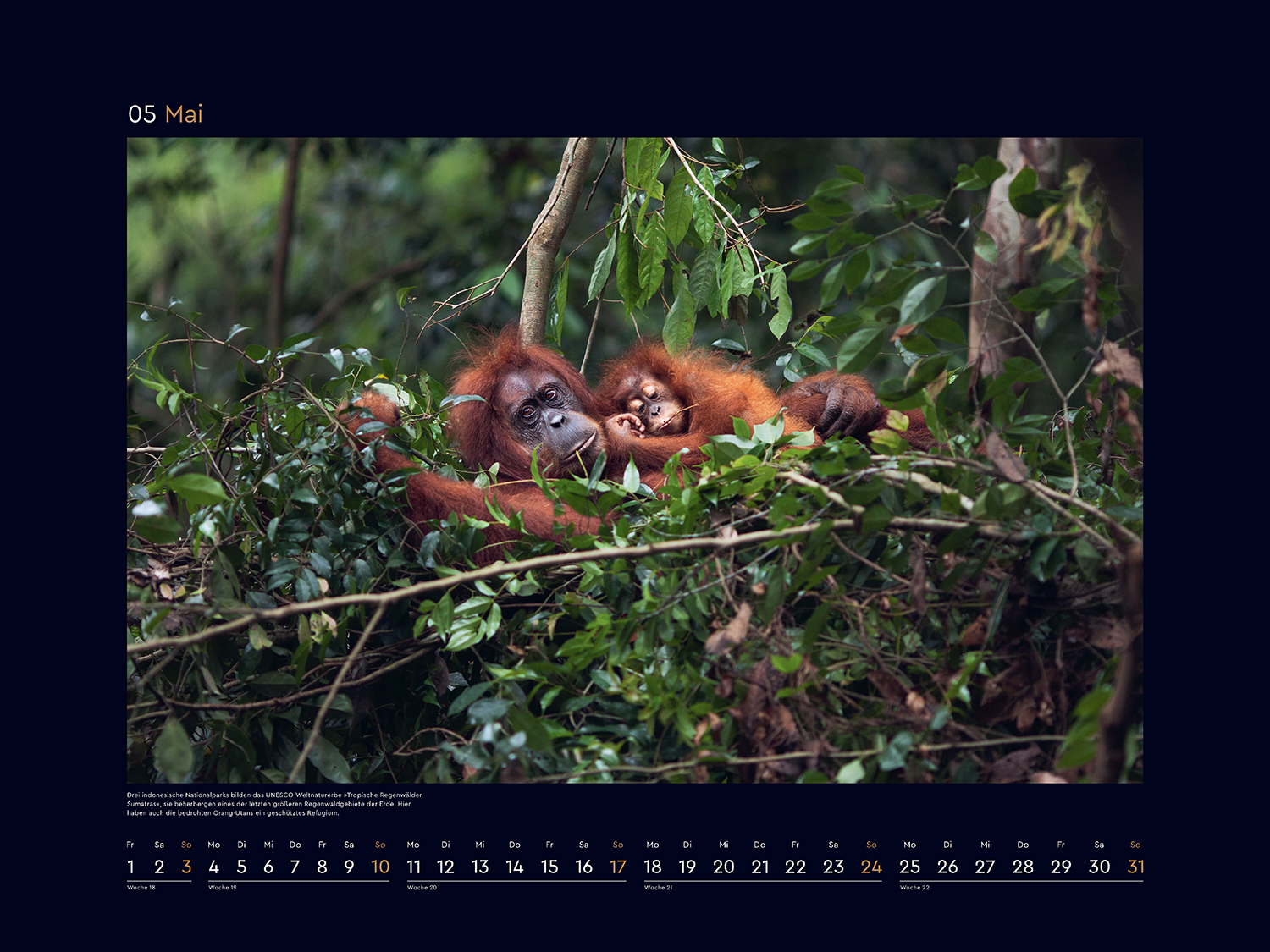 9783965914957_innenansicht_06 9783965914957_innenansicht_06.jpg