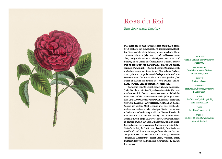 9783832169268_innenansicht_04 9783832169268_innenansicht_04.jpg