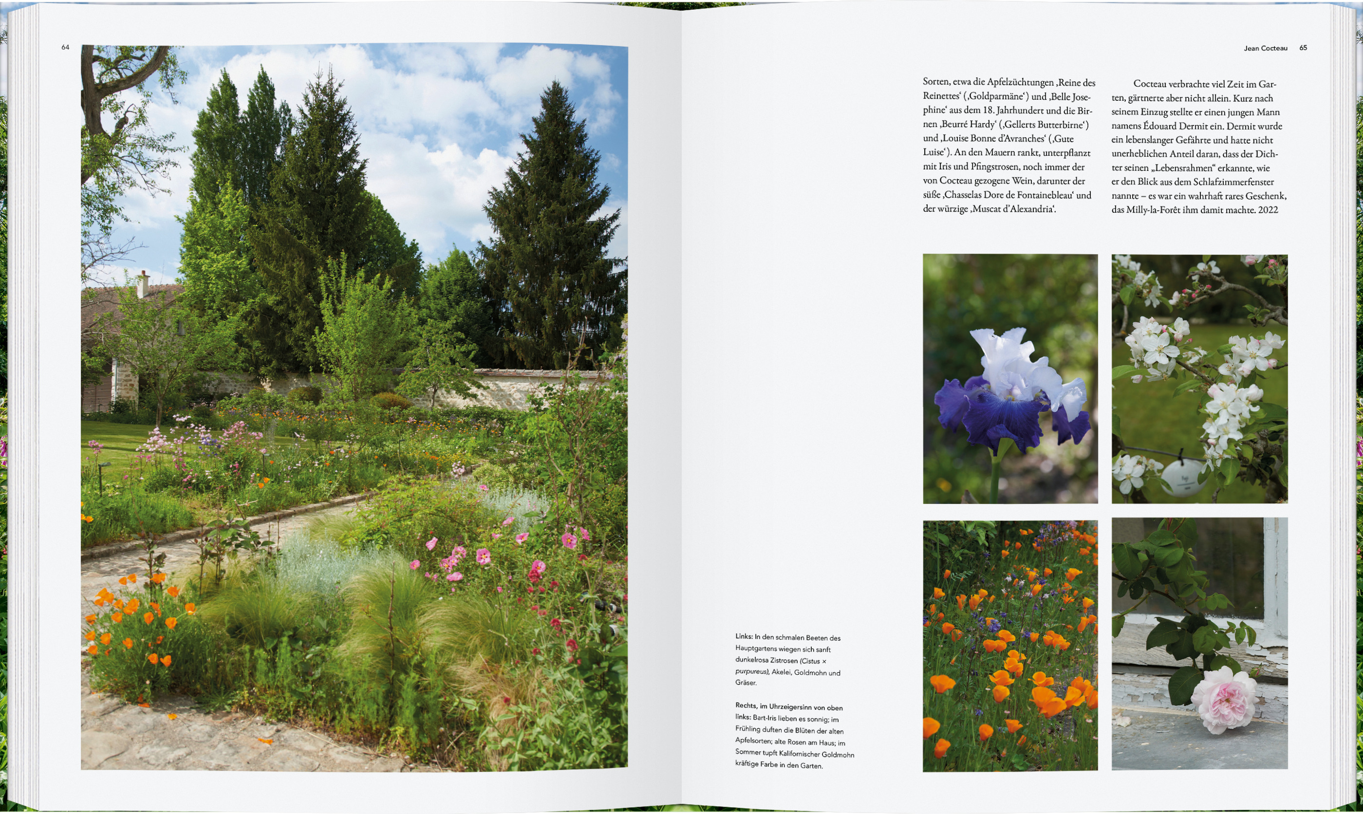 9783836922012_innenansicht_01 9783836922012_innenansicht_01.jpg