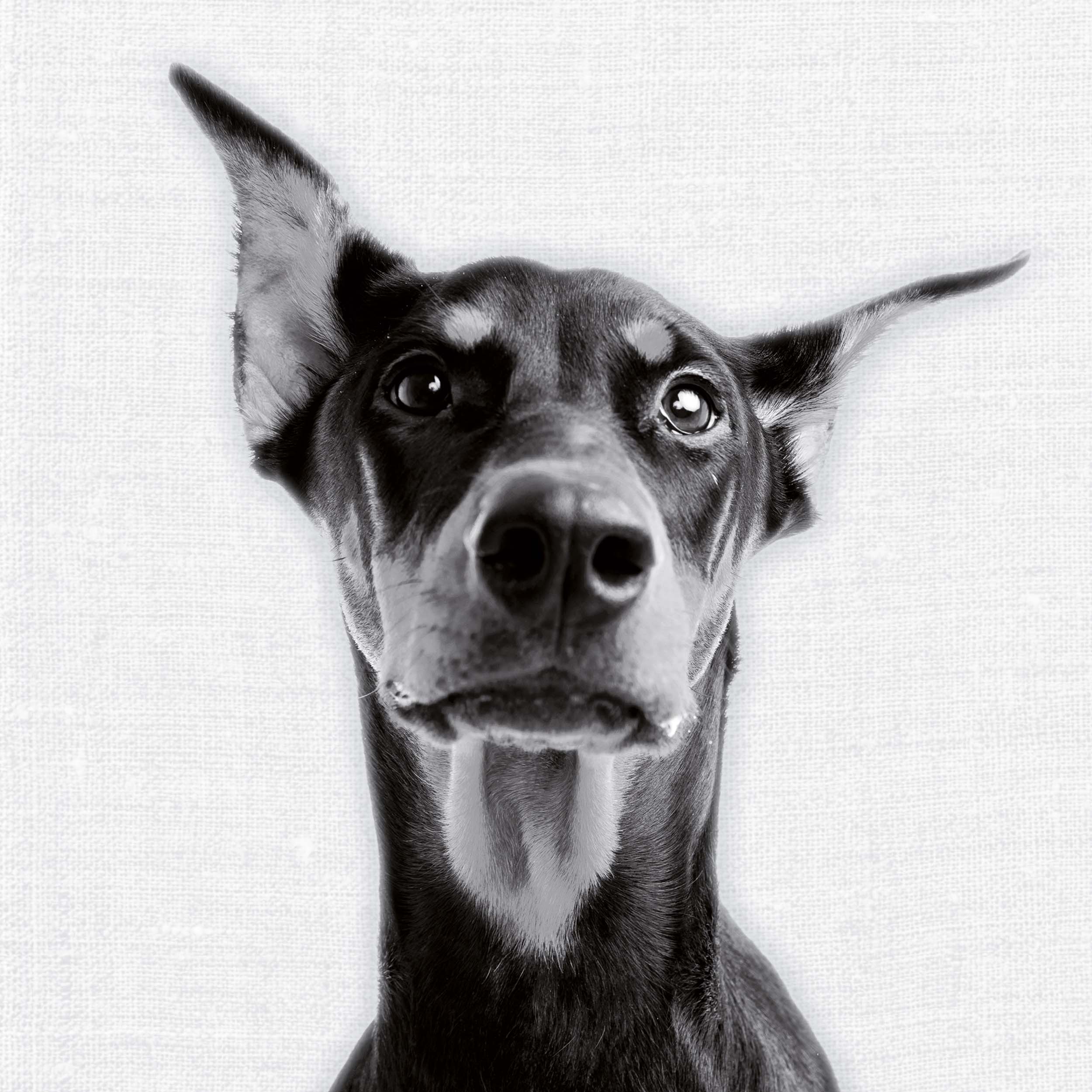 9783959295284_innenansicht_04 9783959295284_innenansicht_04.jpg