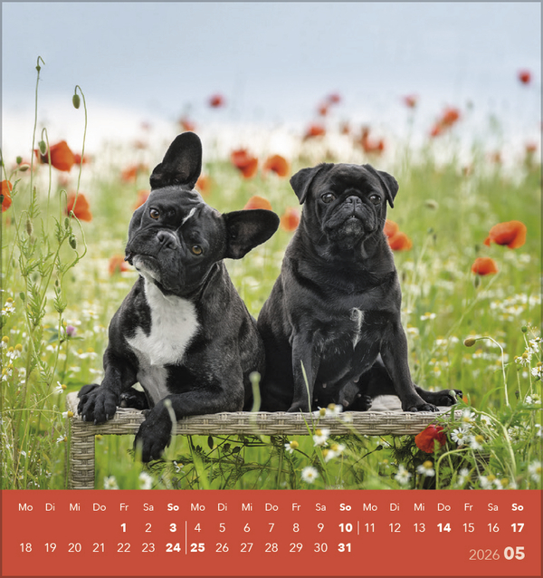 9783731884064_innenansicht_05 9783731884064_innenansicht_05.jpg