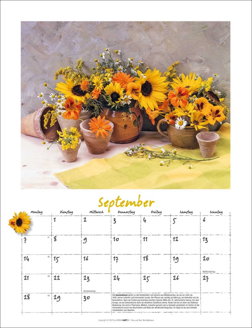 9783839902066_innenansicht_09 9783839902066_innenansicht_09.jpg