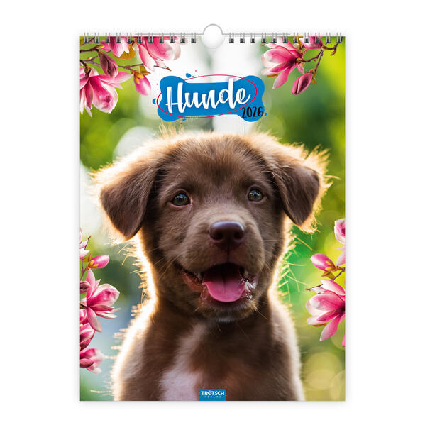 9783988023926 9783988023926