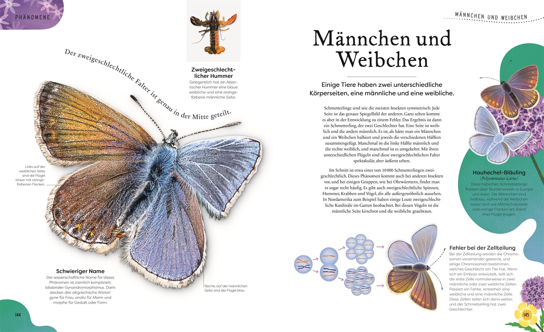 9783831049127_innenansicht_07.jpg