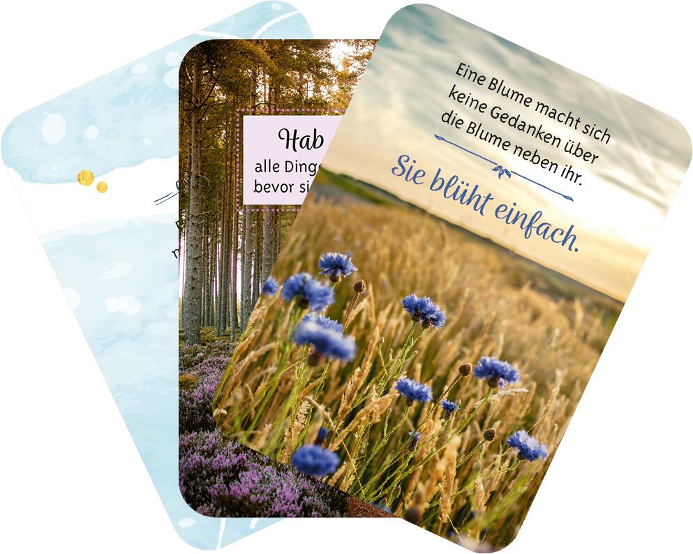 9783845852829_innenansicht_06 9783845852829_innenansicht_06.jpg