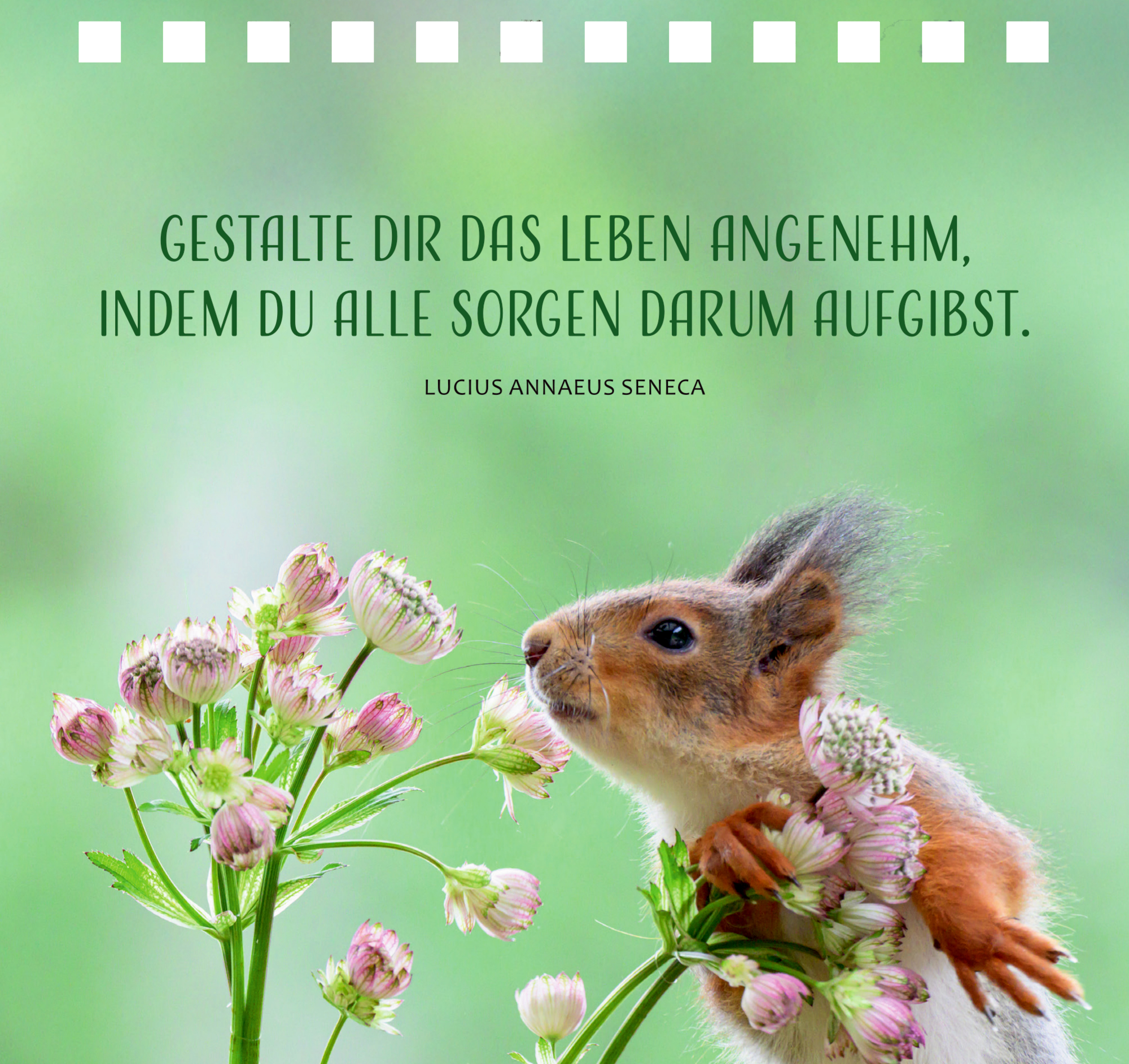 9783649651628_innenansicht_12 9783649651628_innenansicht_12.jpg