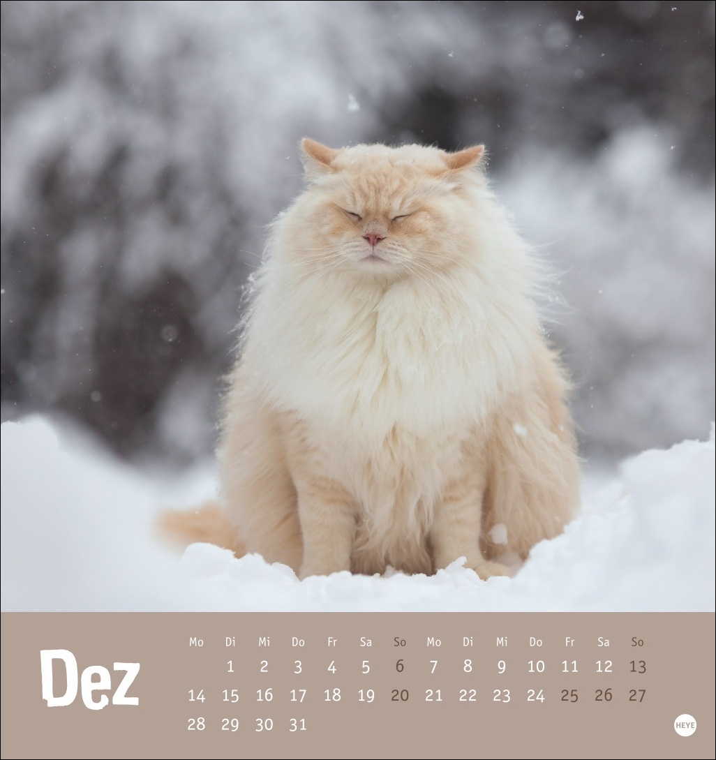9783756411306_innenansicht_12 9783756411306_innenansicht_12.jpg