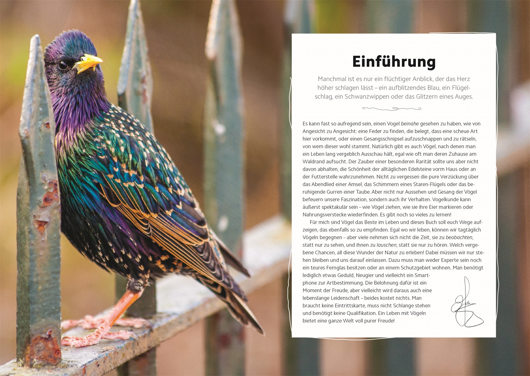 9783831049943_innenansicht_05 9783831049943_innenansicht_05.jpg