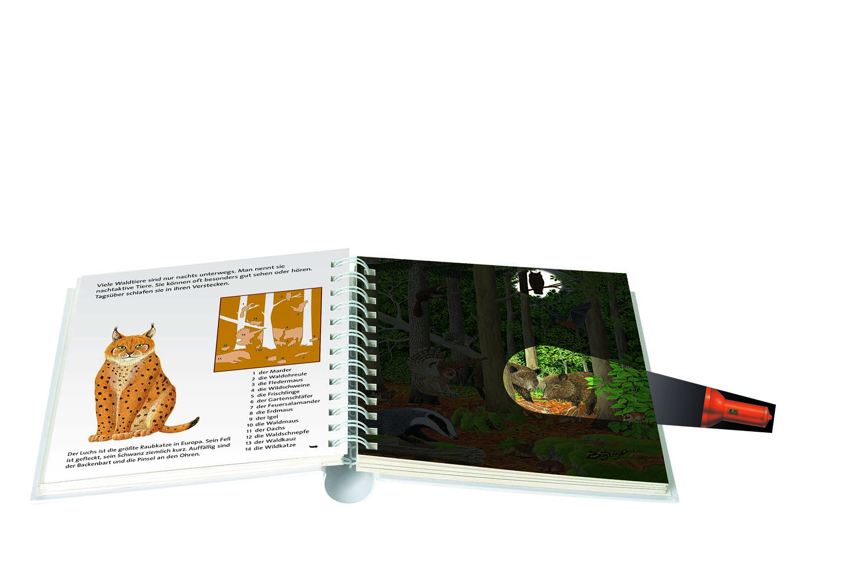 9783737357258_innenansicht_01 9783737357258_innenansicht_01.jpg