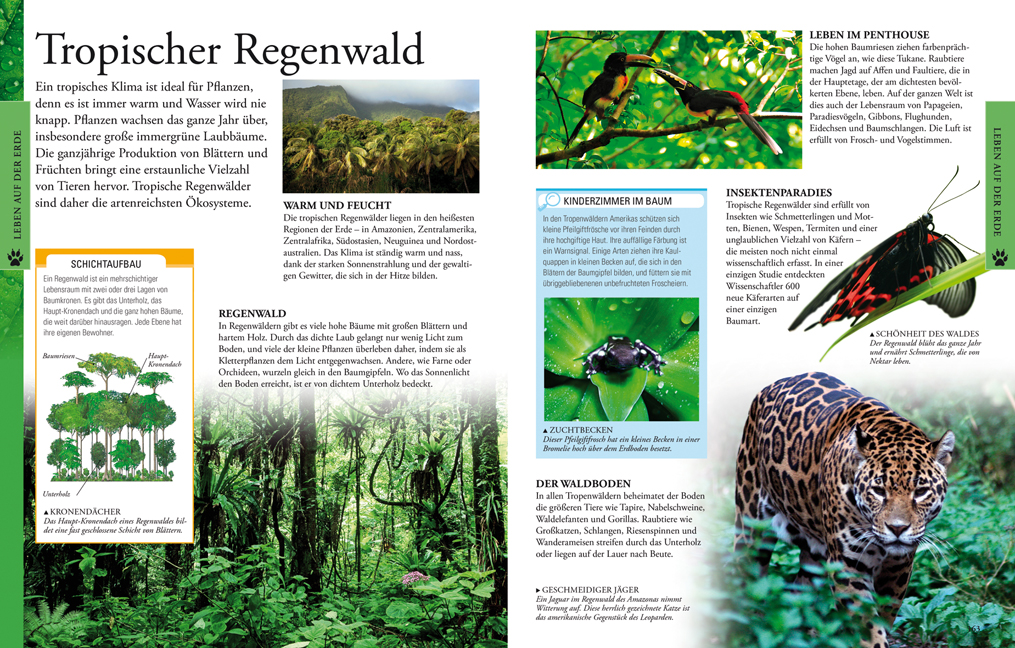 9783831024117_innenansicht_01 9783831024117_innenansicht_01.jpg