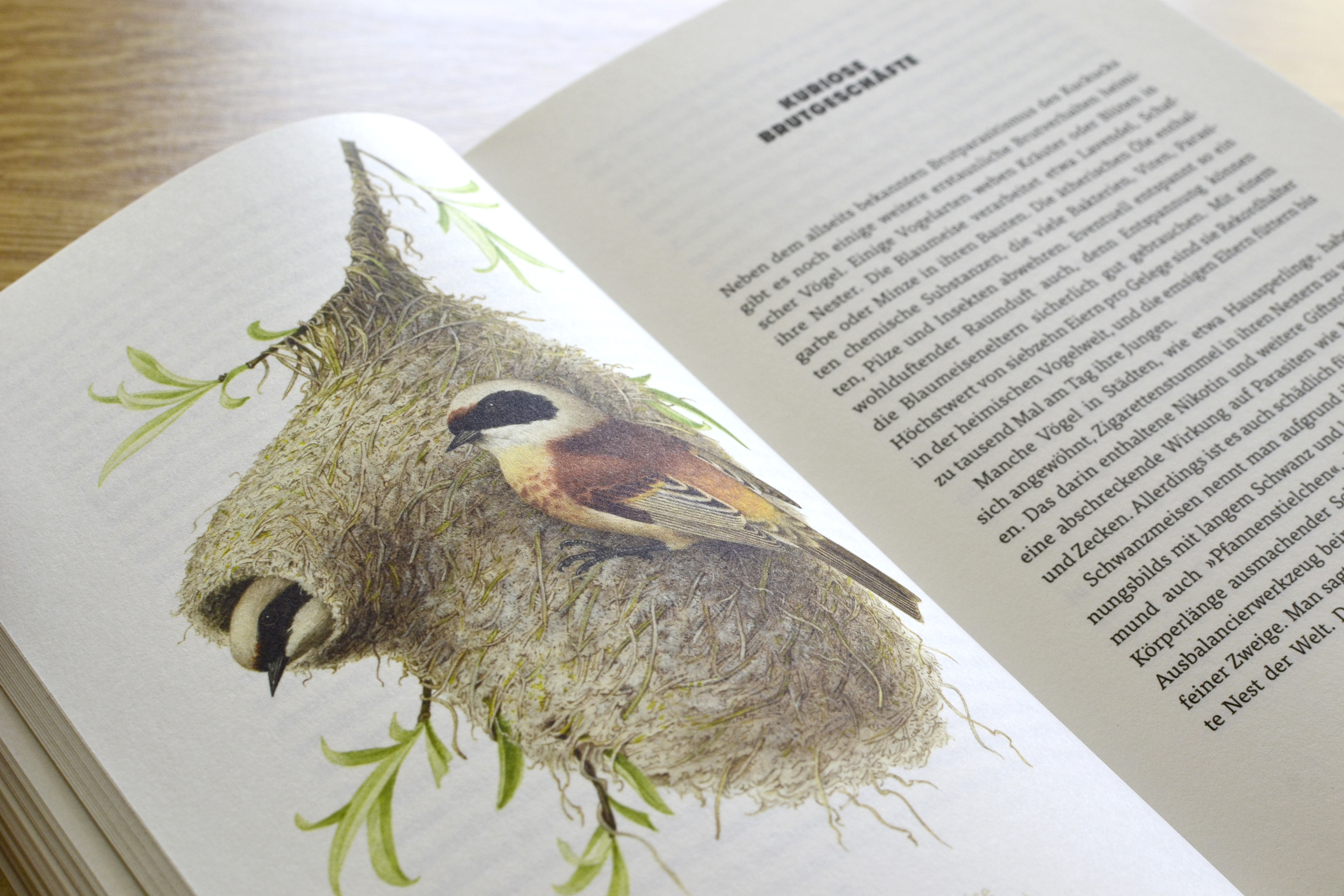 9783847900658_innenansicht_04.jpg 9783847900658_innenansicht_04.jpg