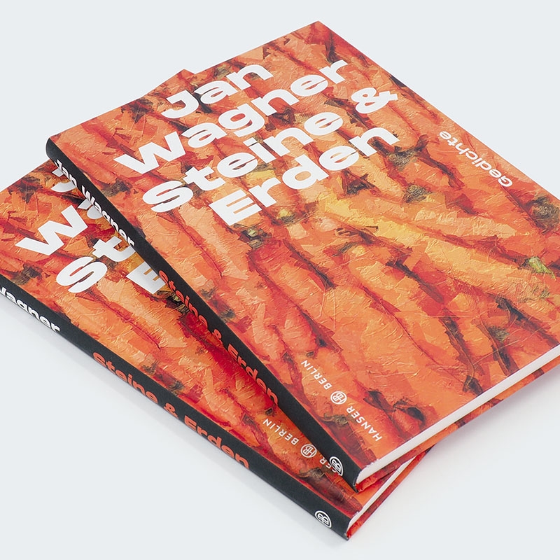 9783446277304_innenansicht_03 9783446277304_innenansicht_03.jpg