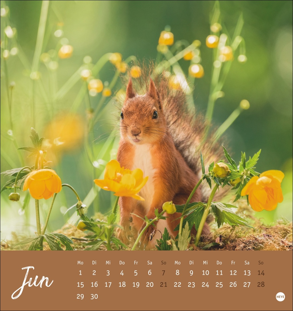 9783756411085_innenansicht_06.jpg