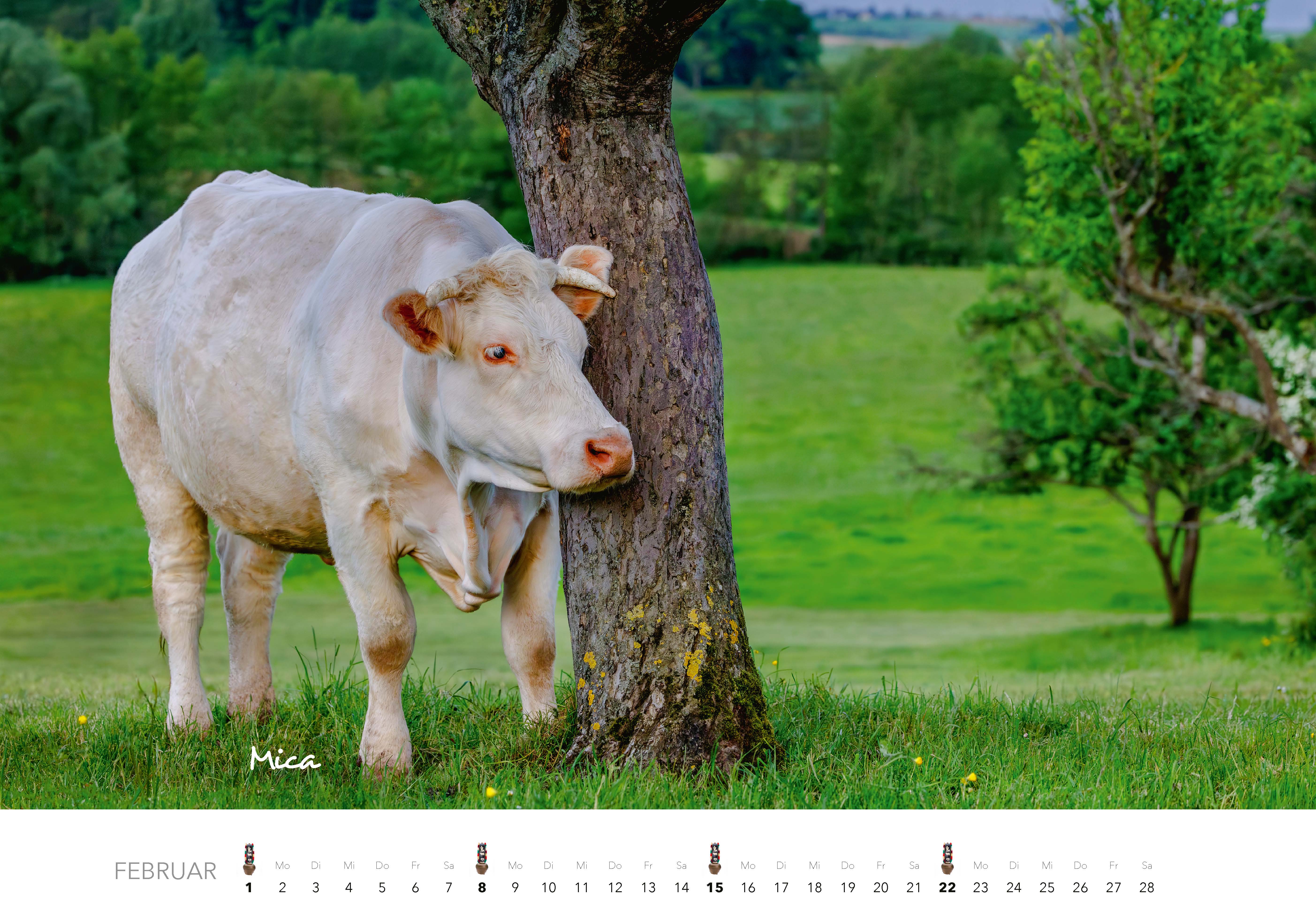 9783966649582_innenansicht_02 9783966649582_innenansicht_02.jpg