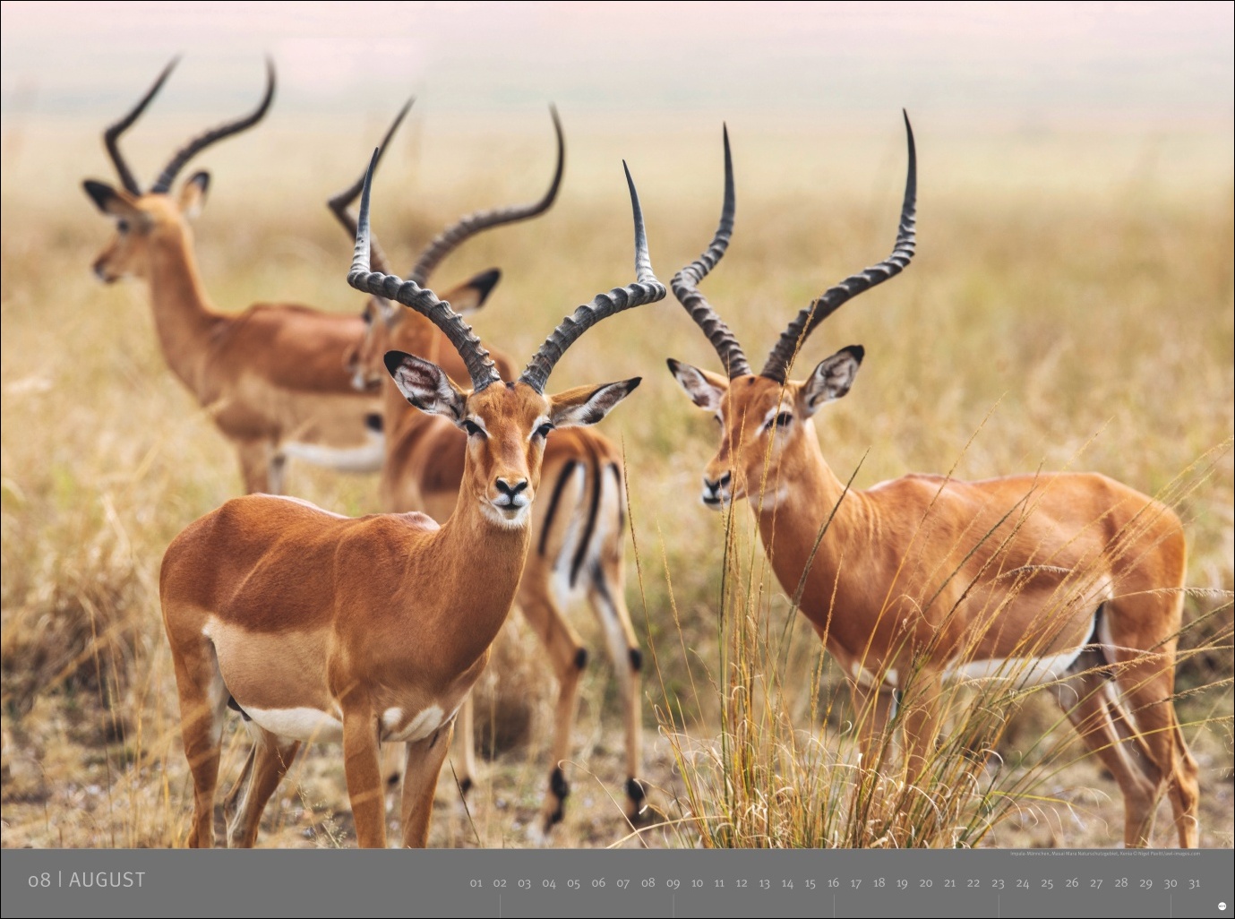 9783756410545_innenansicht_08 9783756410545_innenansicht_08.jpg