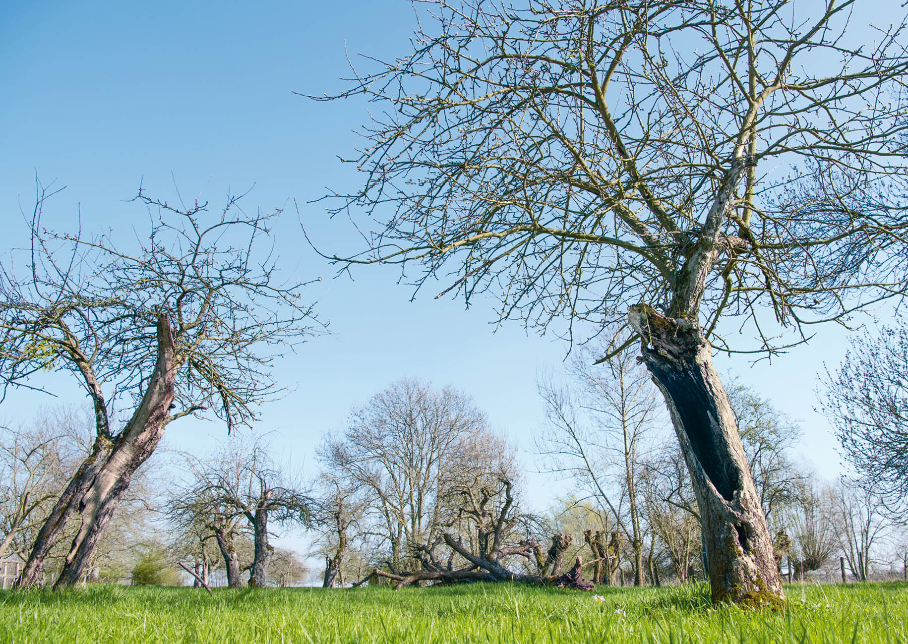 9783895664014_innenansicht_11.jpg 9783895664014_innenansicht_11.jpg