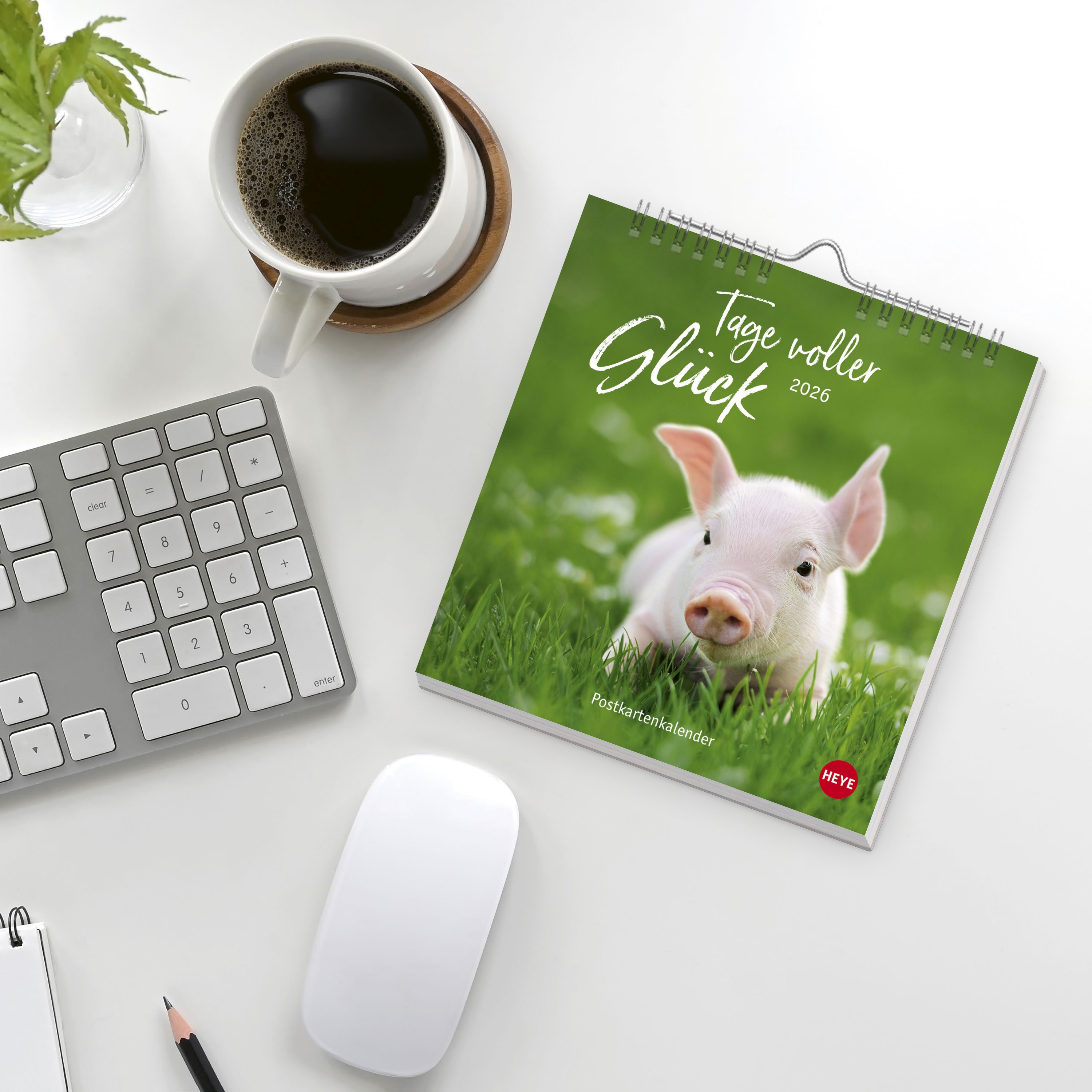 9783756410101_weiterecover_01 9783756410101_weiterecover_01.jpg