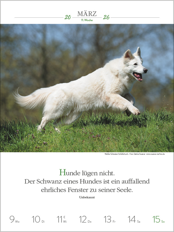 9783731884392_innenansicht_03.jpg