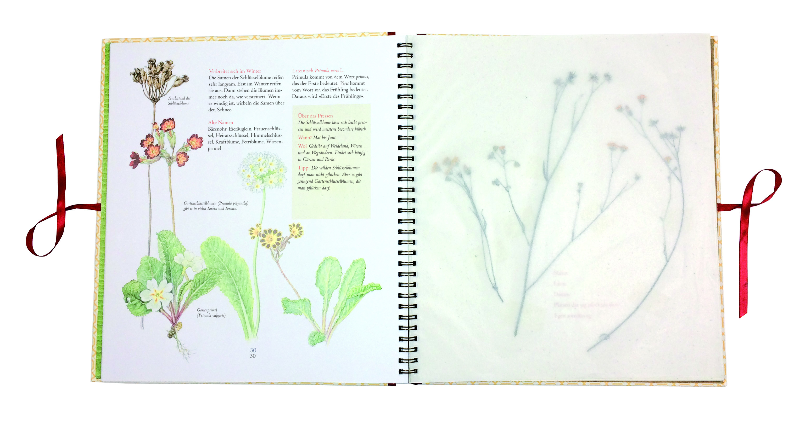 9783737355285_innenansicht_01 9783737355285_innenansicht_01.jpg