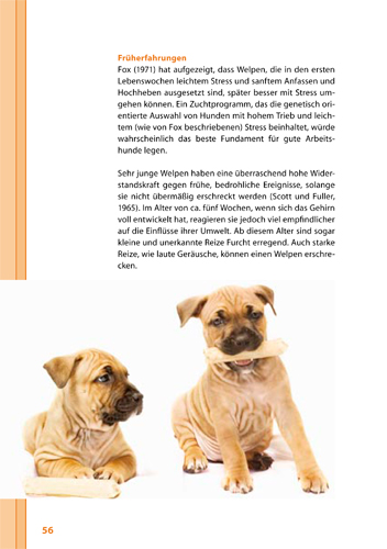 9783936188790_innenansicht_03.jpg
