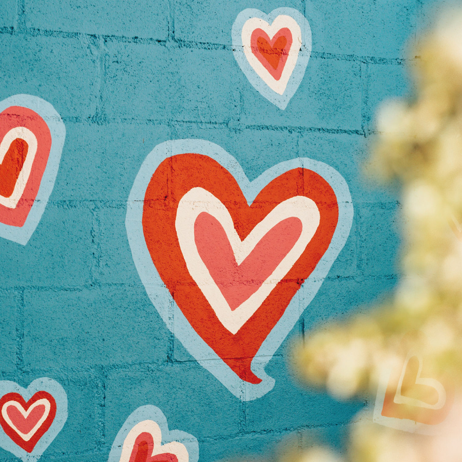 4027537000811_innenansicht_04 4027537000811_innenansicht_04.jpg