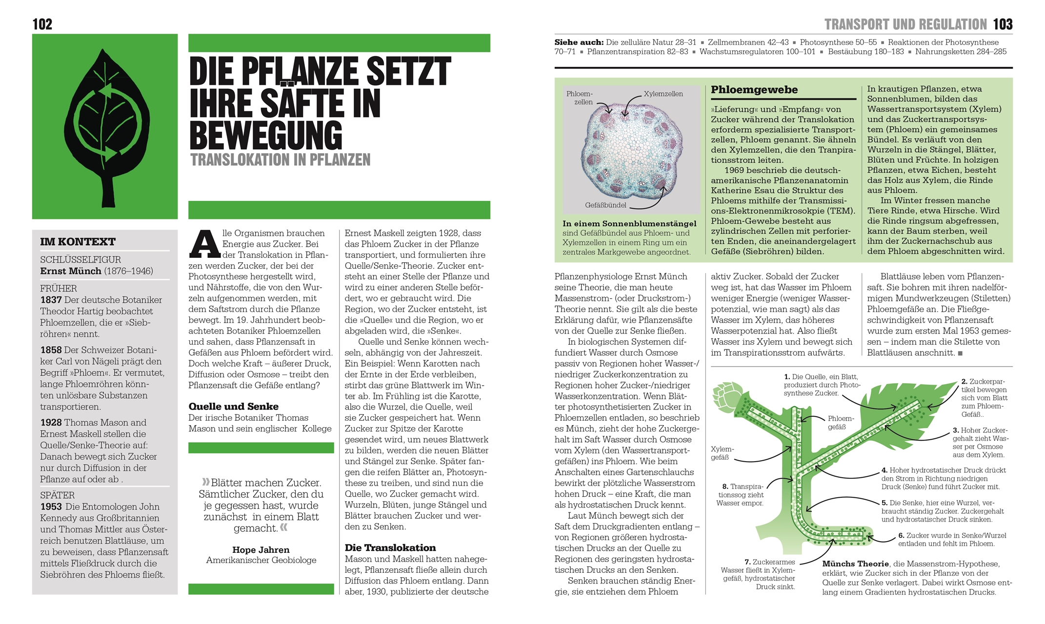 9783831045181_innenansicht_05 9783831045181_innenansicht_05.jpg