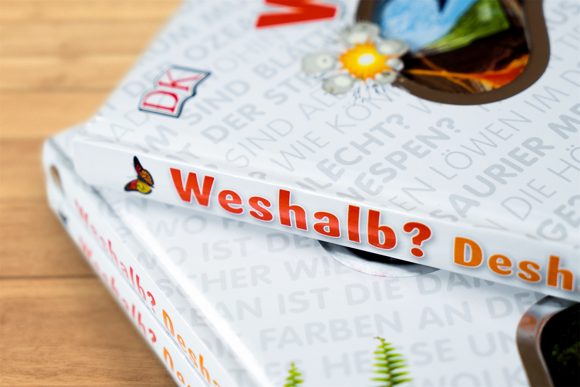 9783831028092_innenansicht_11.jpg