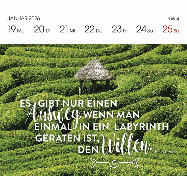 9783731884125_innenansicht_04.jpg