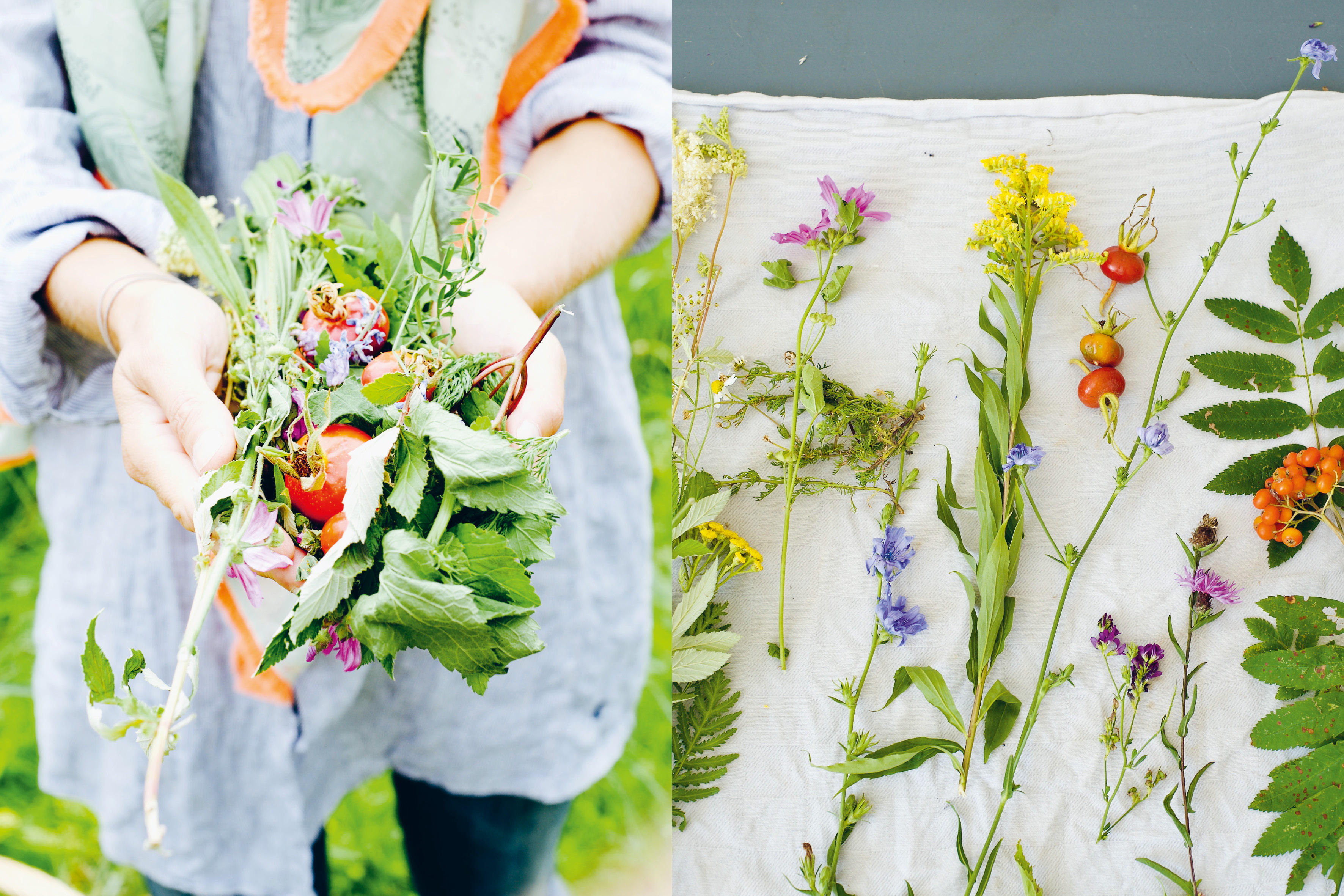 9783517098470_innenansicht_04 9783517098470_innenansicht_04.jpg