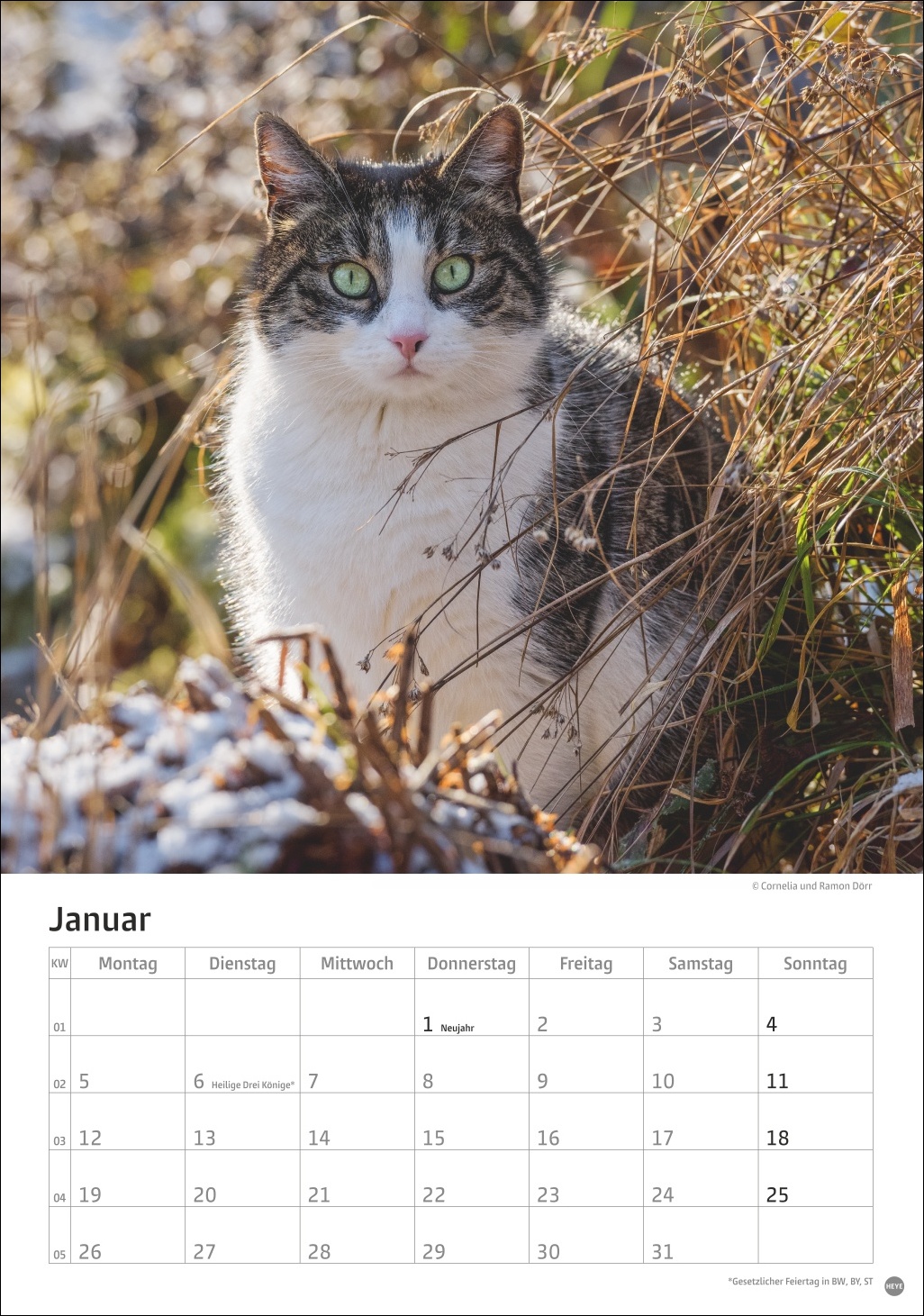 9783756411139_innenansicht_01 9783756411139_innenansicht_01.jpg