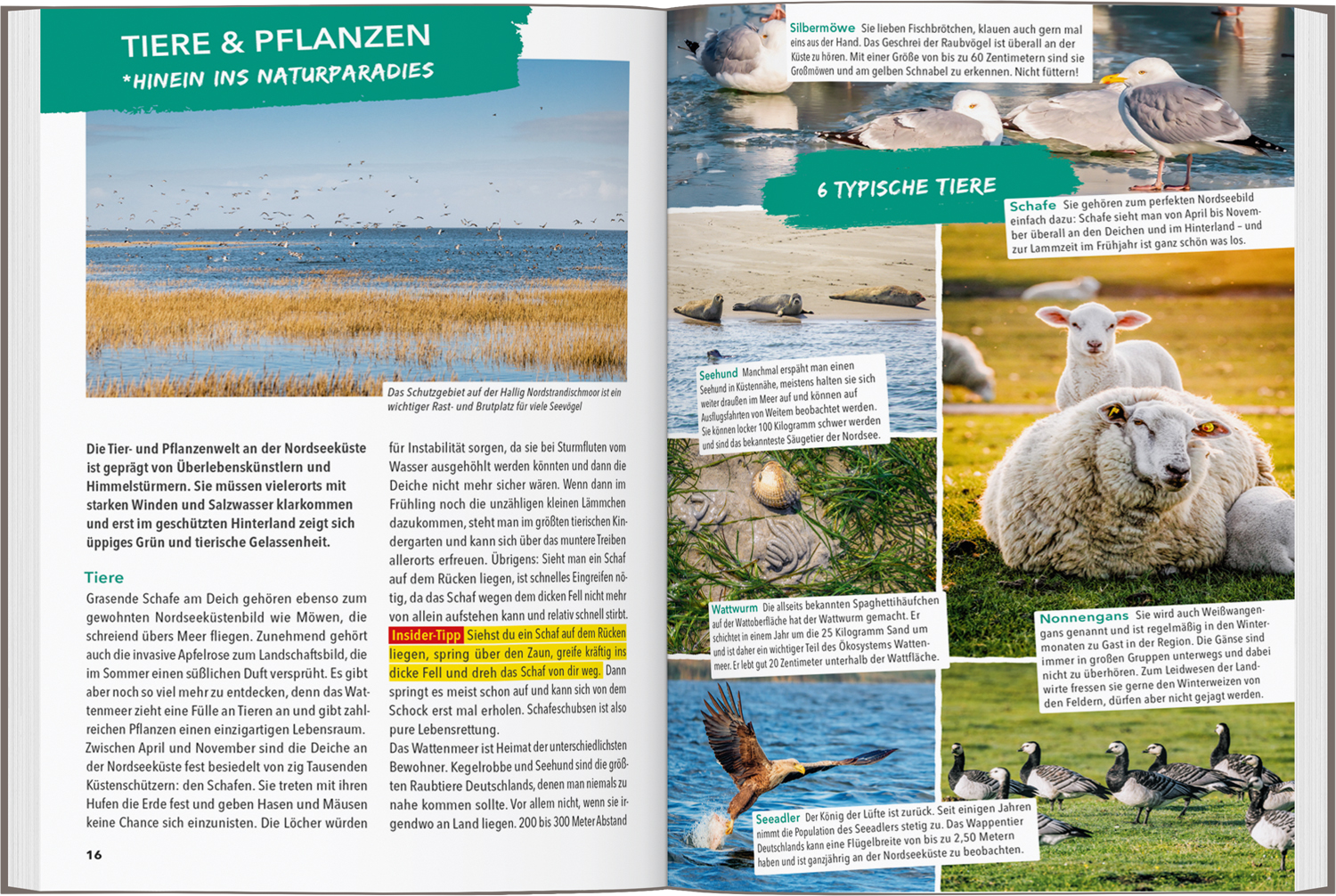 9783575019233_innenansicht_02 9783575019233_innenansicht_02.jpg