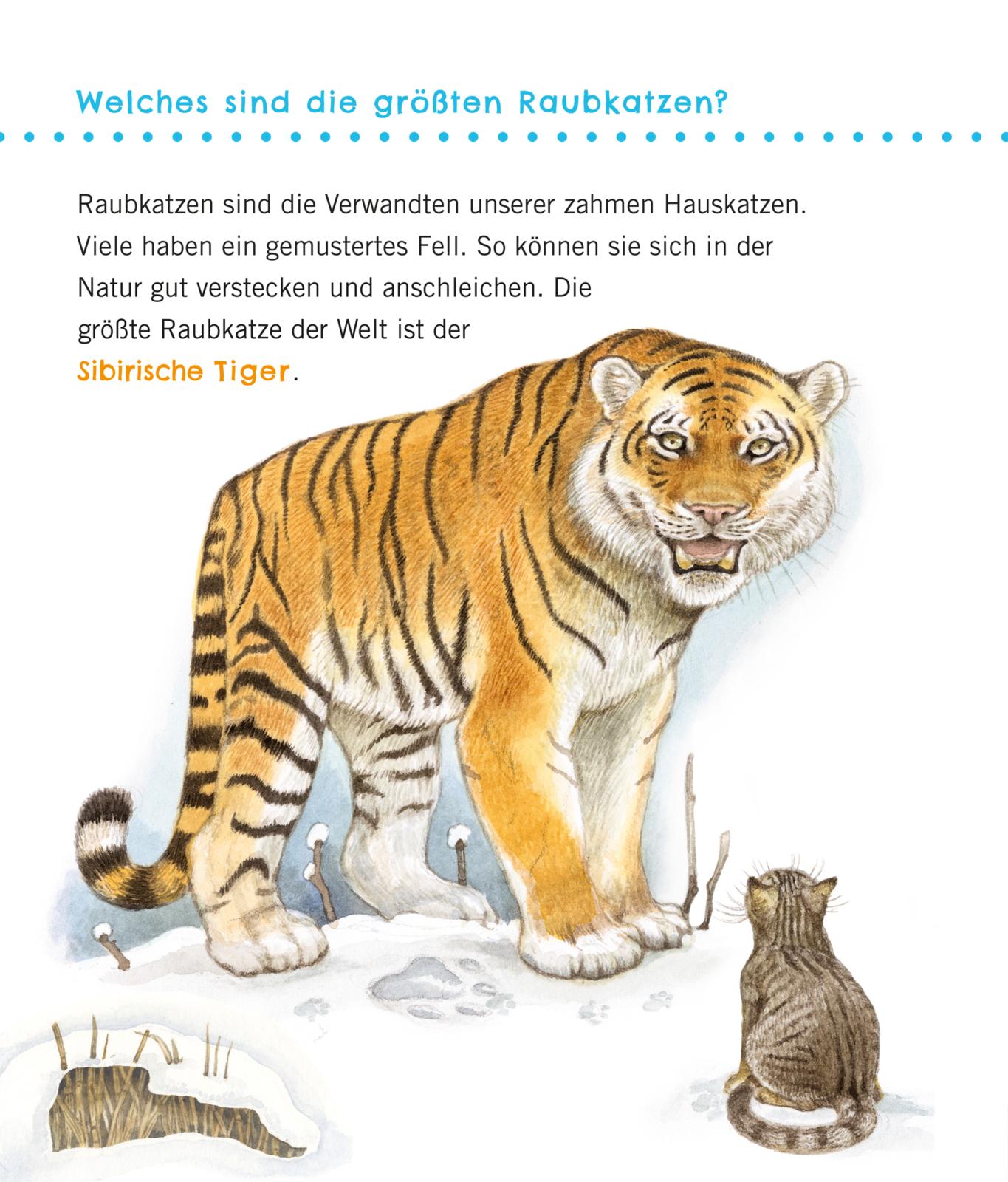 9783551036100_innenansicht_04.jpg