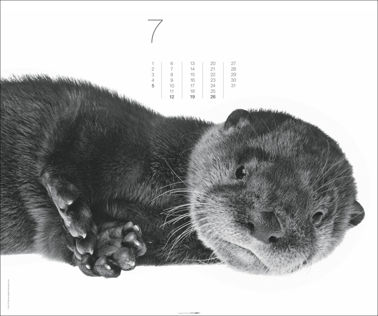 9783839902776_innenansicht_07 9783839902776_innenansicht_07.jpg