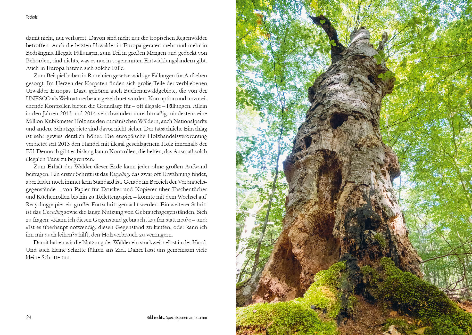 9783895664014_innenansicht_02.jpg 9783895664014_innenansicht_02.jpg