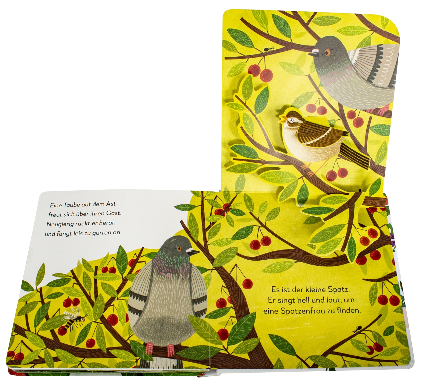 9783831048786_innenansicht_03 9783831048786_innenansicht_03.jpg