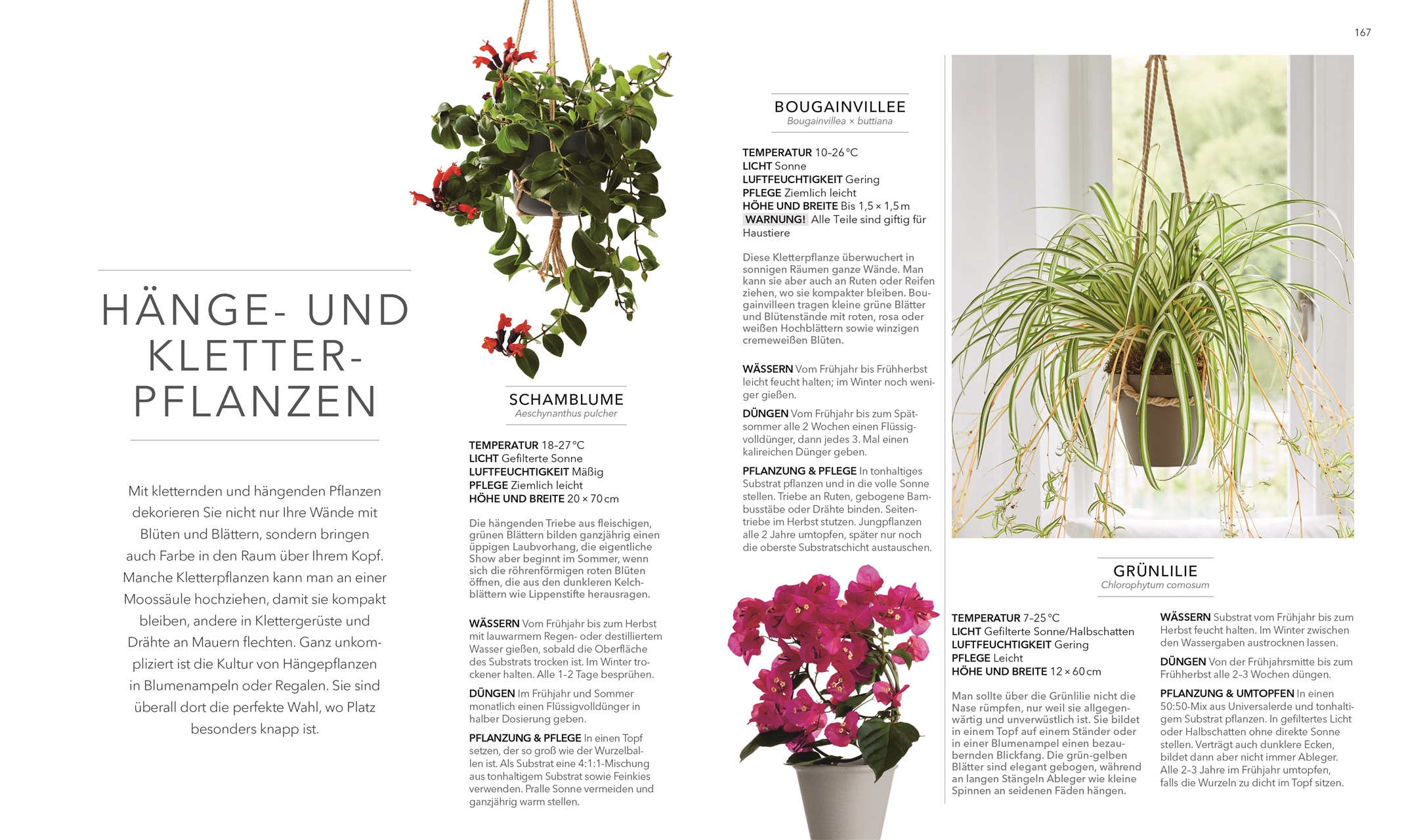 9783831049264_innenansicht_06 9783831049264_innenansicht_06.jpg