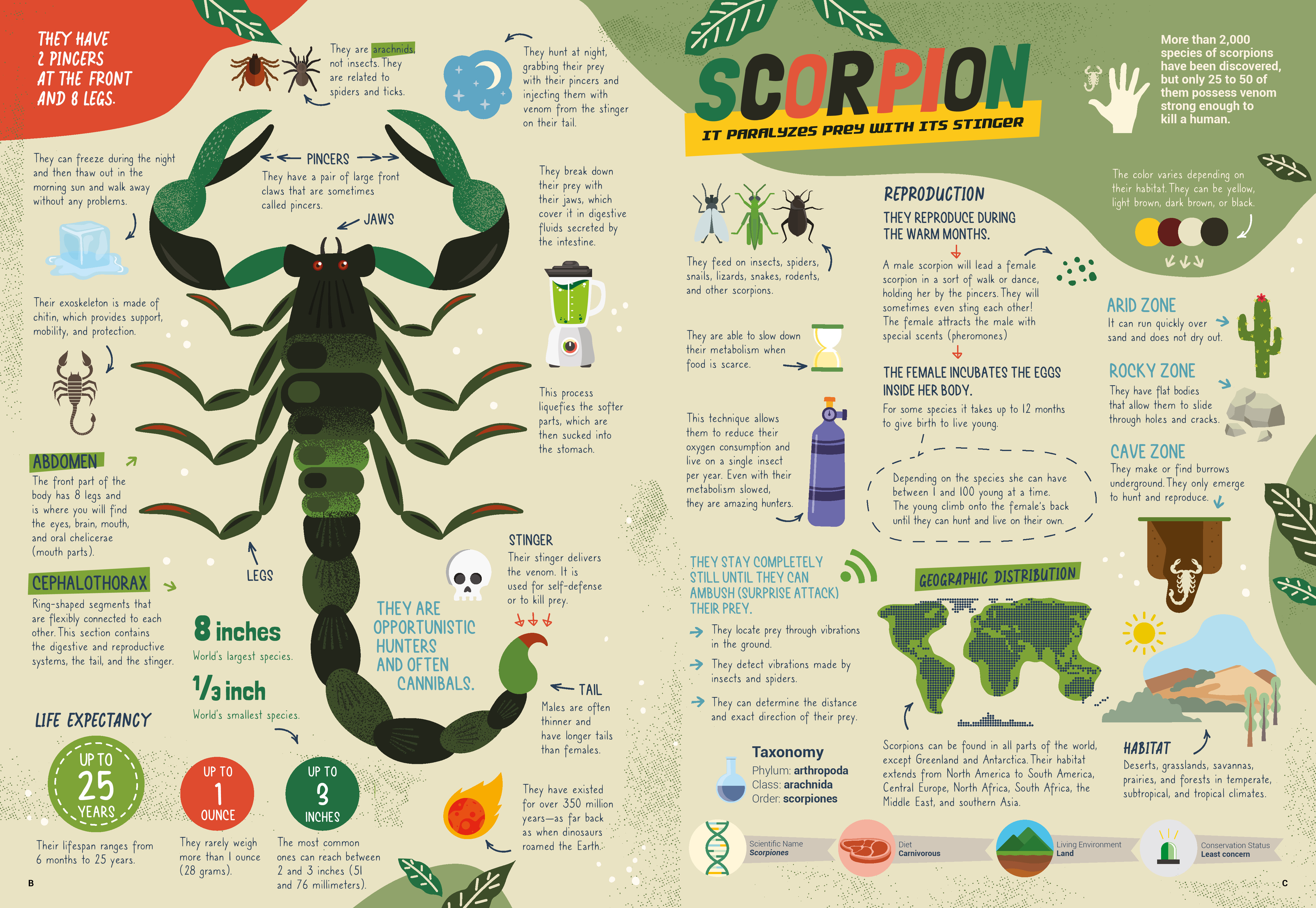 9783967047769_innenansicht_02 9783967047769_innenansicht_02.jpg