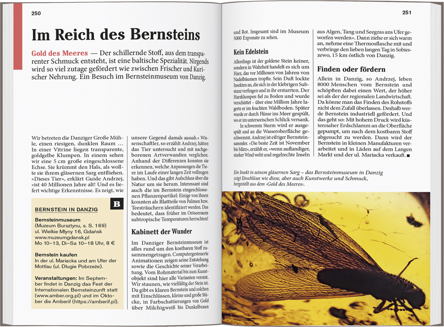 9783616007502_innenansicht_06 9783616007502_innenansicht_06.jpg