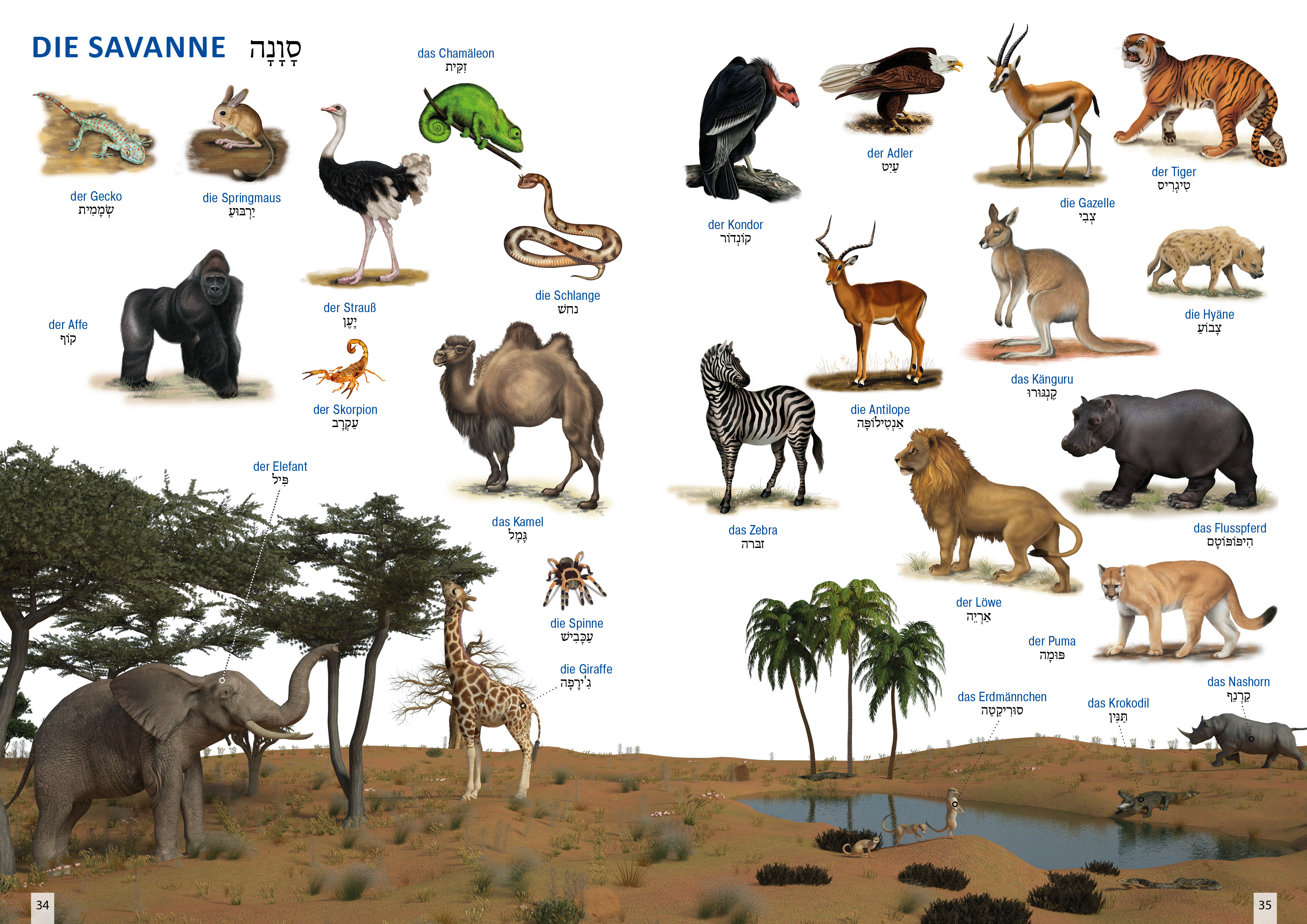 9783898947183_innenansicht_07 9783898947183_innenansicht_07.jpg