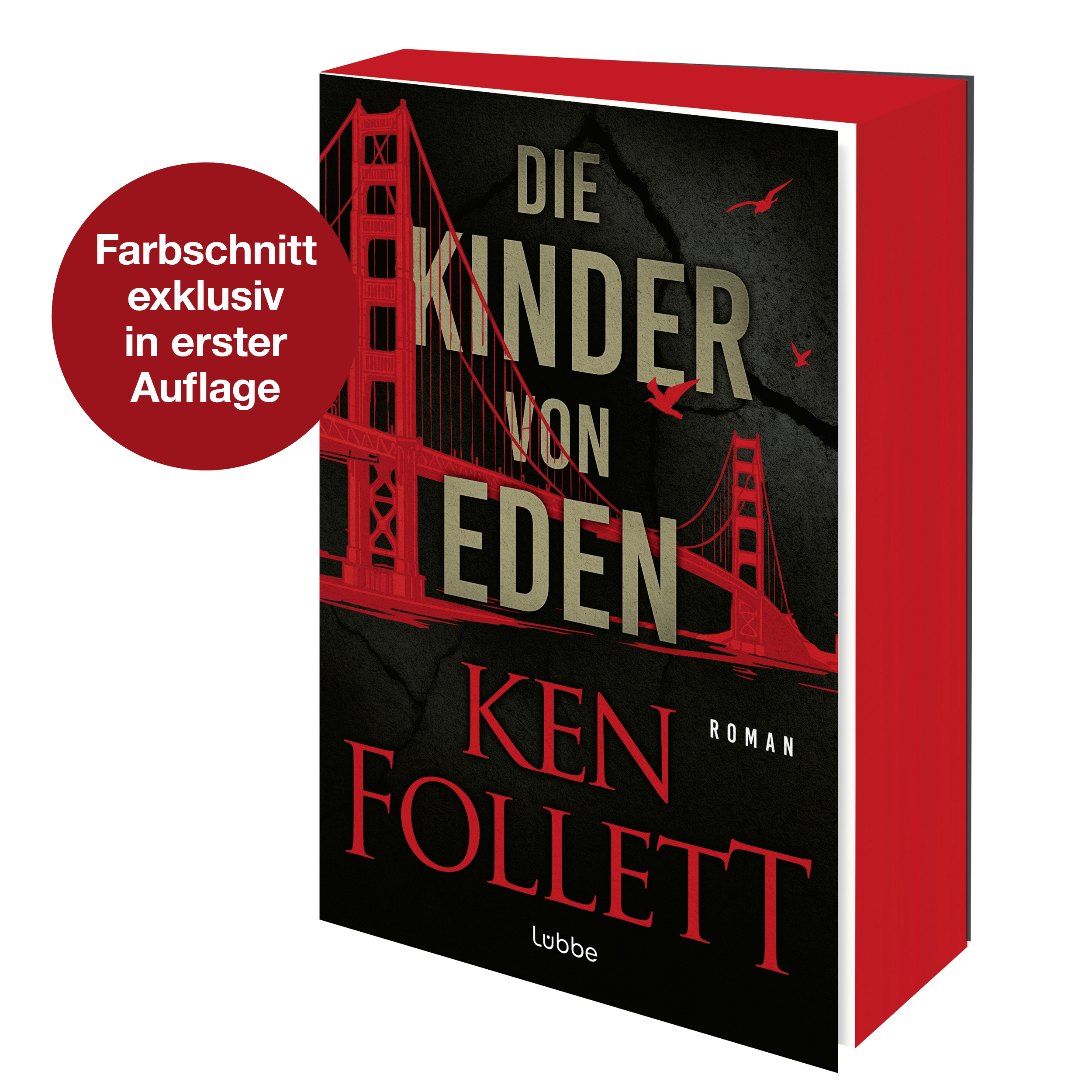 9783404193240_innenansicht_01.jpg