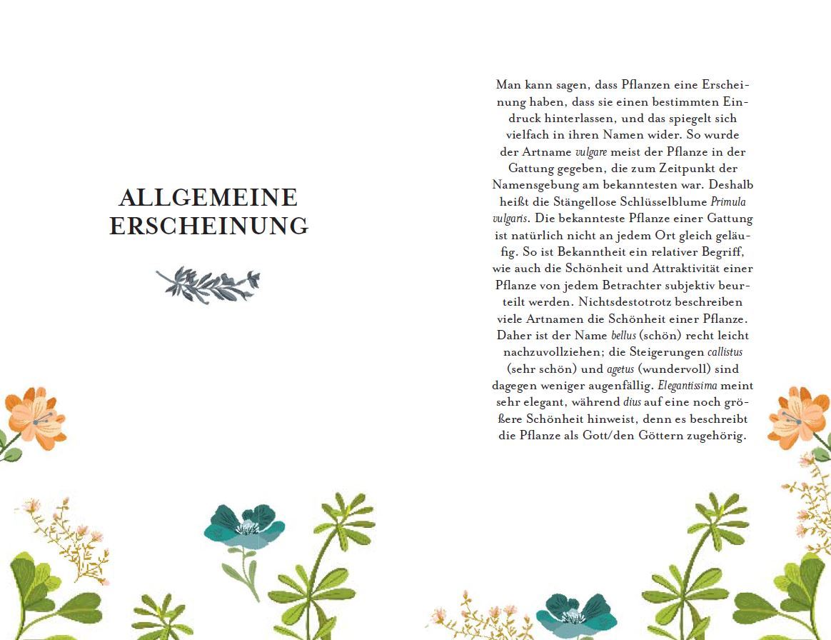 9783421040336_innenansicht_02 9783421040336_innenansicht_02.jpg