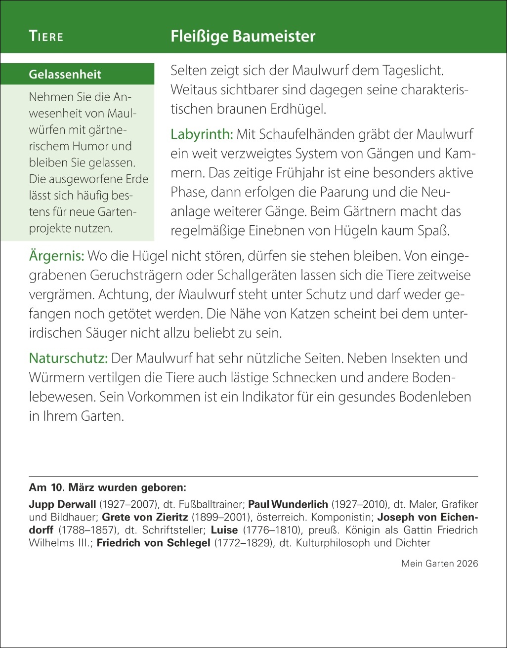 9783840035500_innenansicht_04.jpg