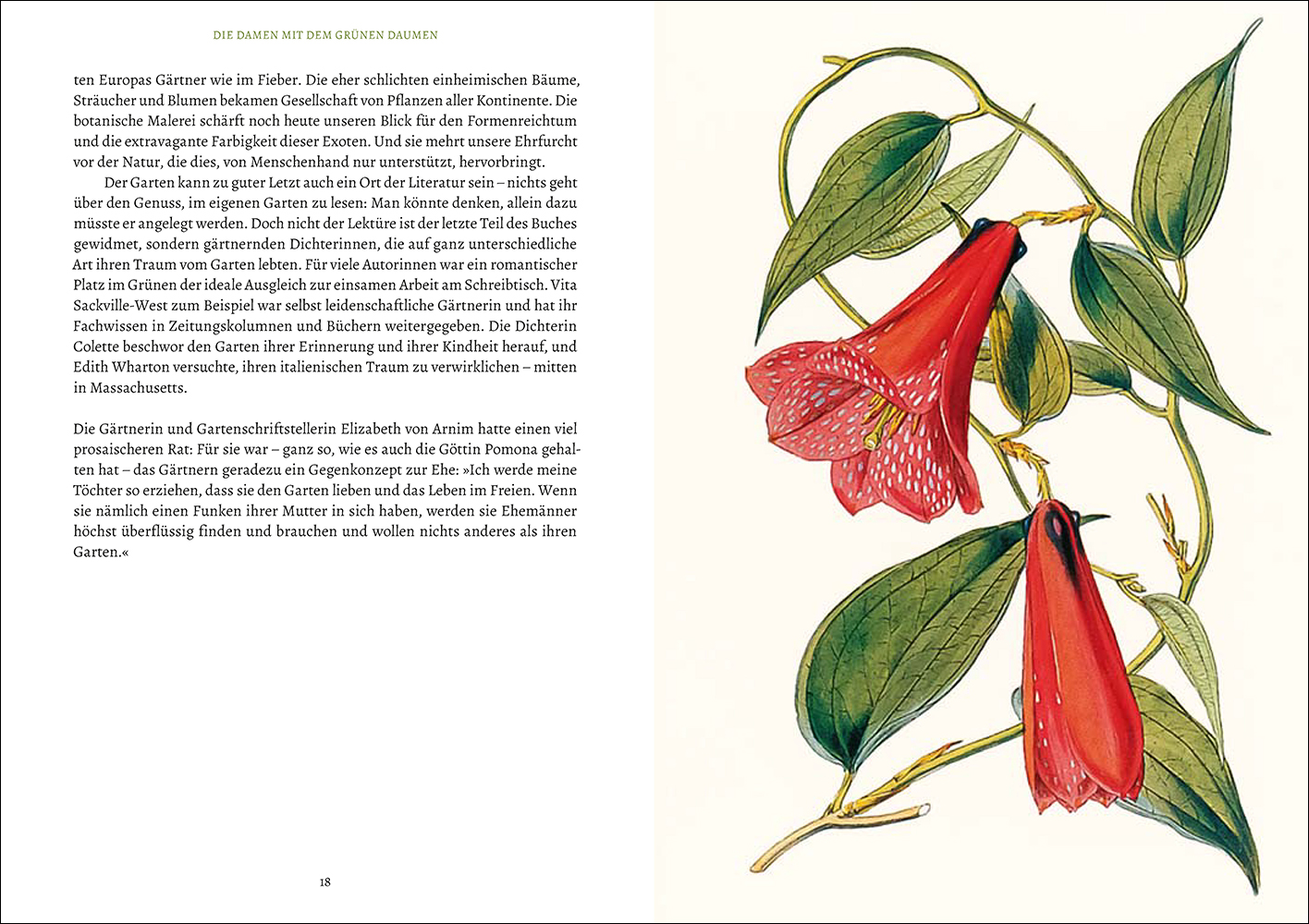 9783949582288_innenansicht_01 9783949582288_innenansicht_01.jpg