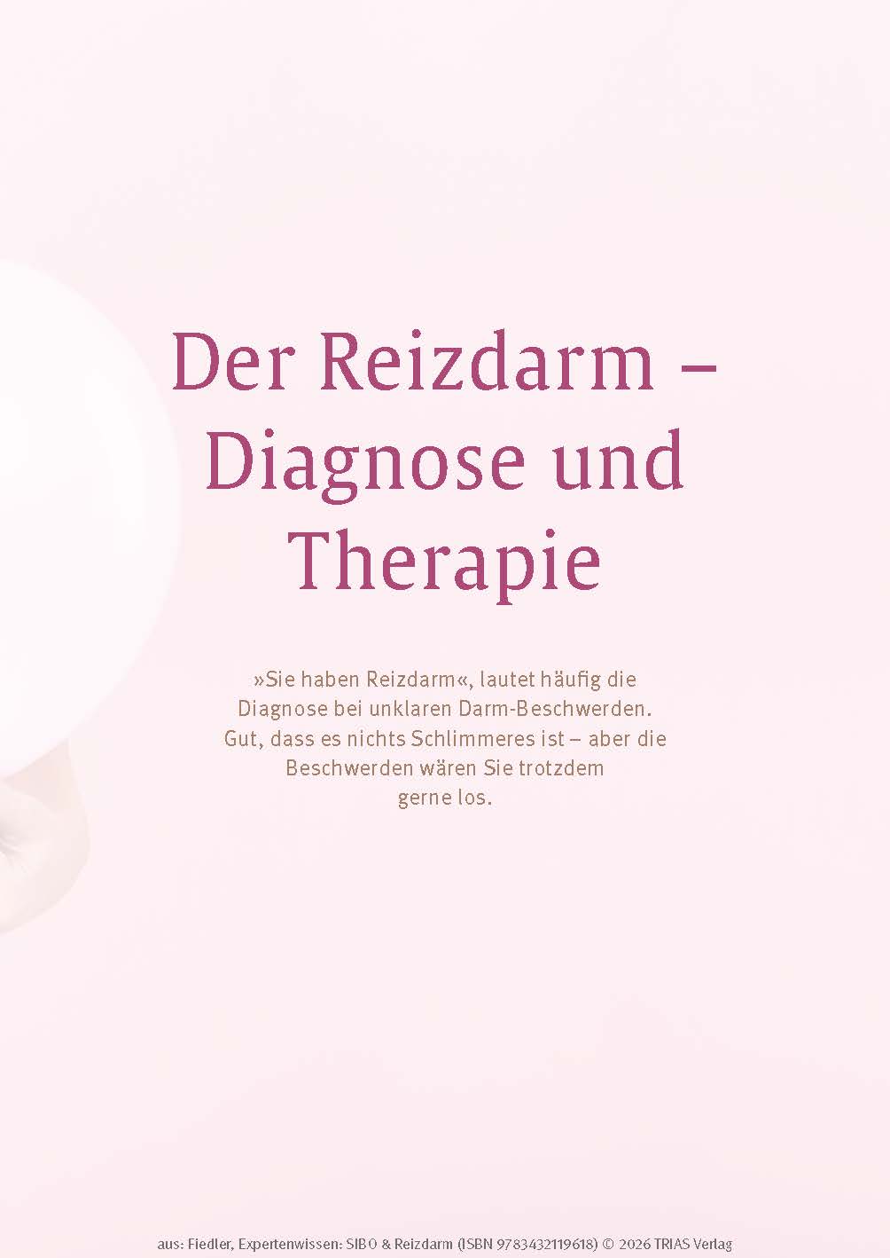9783432119618_innenansicht_09.jpg