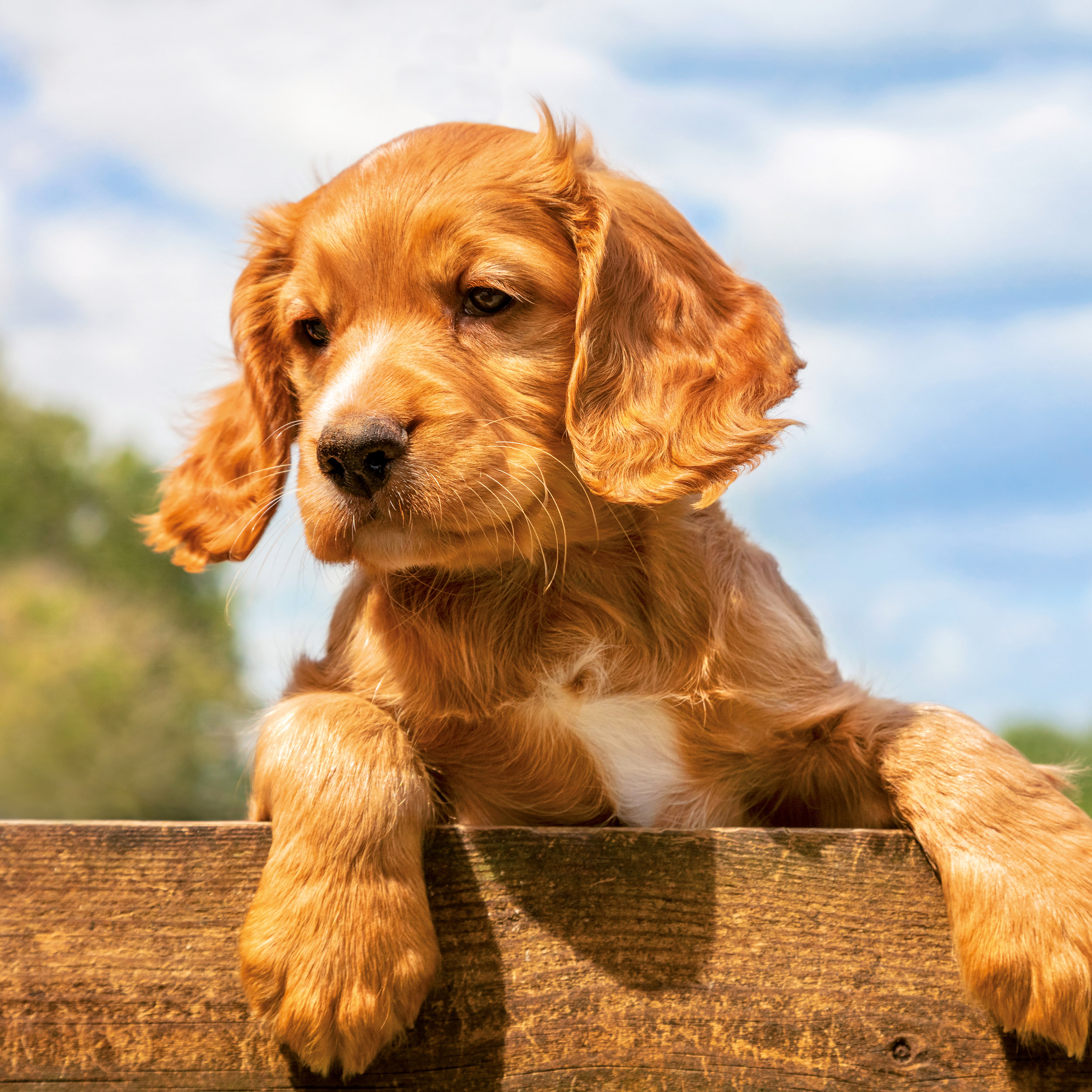 9783959295888_innenansicht_03 9783959295888_innenansicht_03.jpg