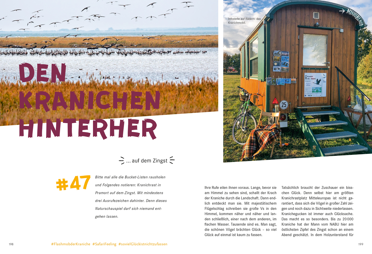 9783770180929_innenansicht_13 9783770180929_innenansicht_13.jpg